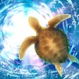 Aquarium Sea Turtle simulation game Aquarium Sea Turtle simulation game