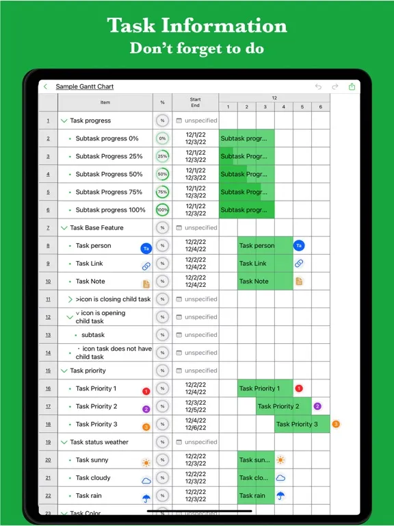 iGanttChart: Gantt Chart App iPad 应用截图
