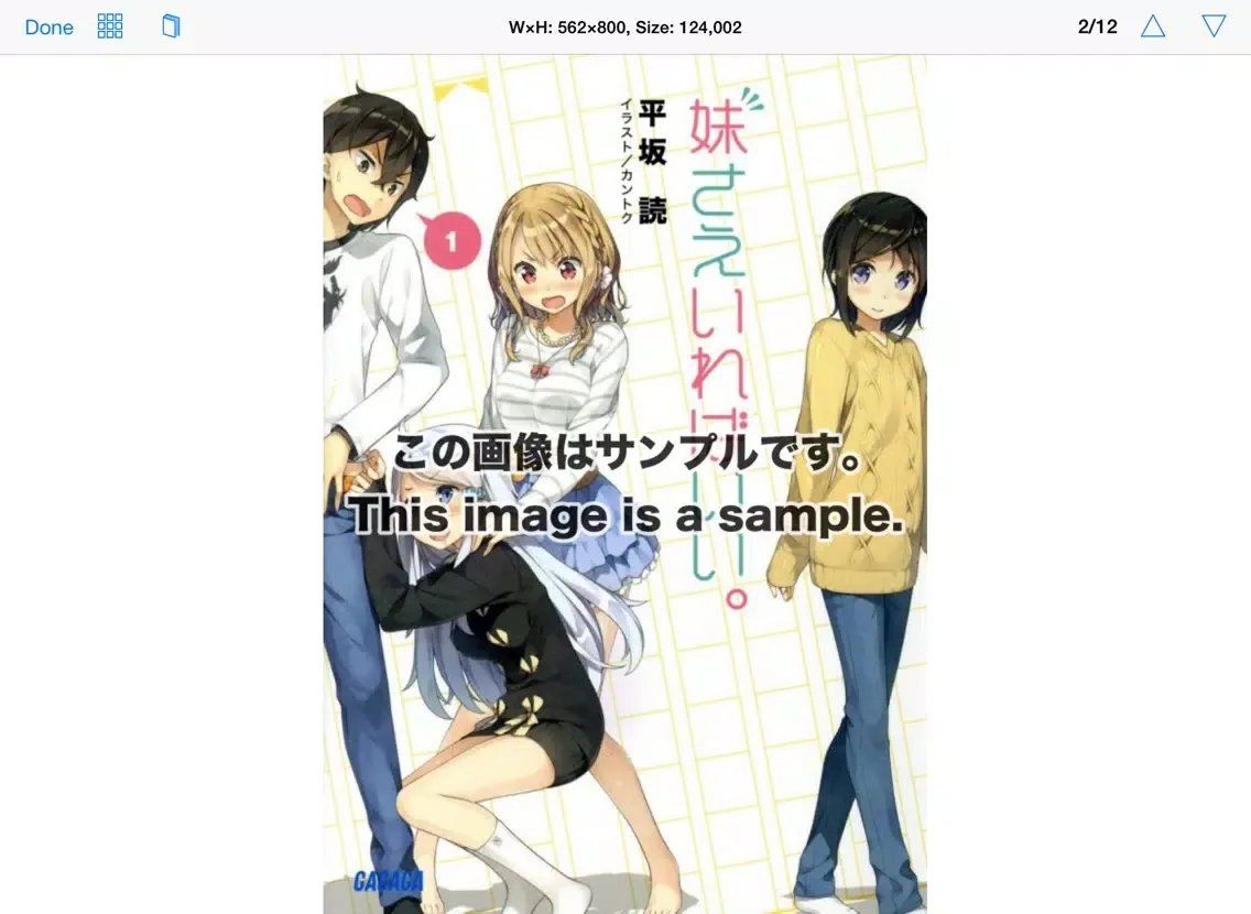 Capturas de pantalla de TSRBooks - Japanese Book Surfing Ranobe Standard Edition iPad 