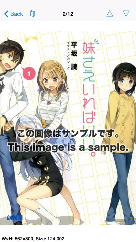 Capturas de pantalla de TSRBooks - Japanese Book Surfing Ranobe Standard Edition