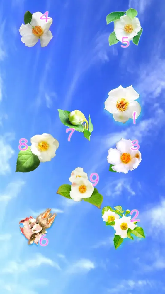 Скриншоты Slowly , Please Touch Flowers ! 　ー To a shocked heart ー
