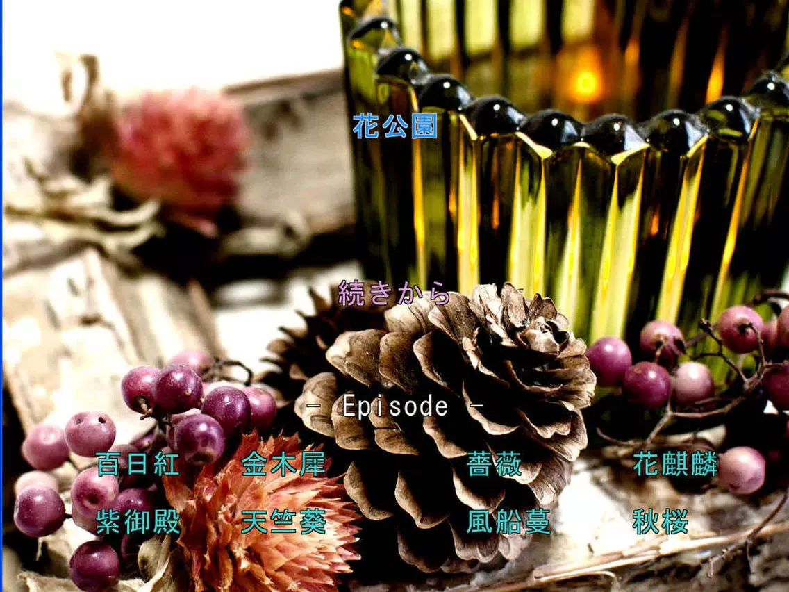 HANA-Park iPad 应用截图