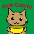 Thoroughly Fish Catch