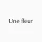 Une fleur