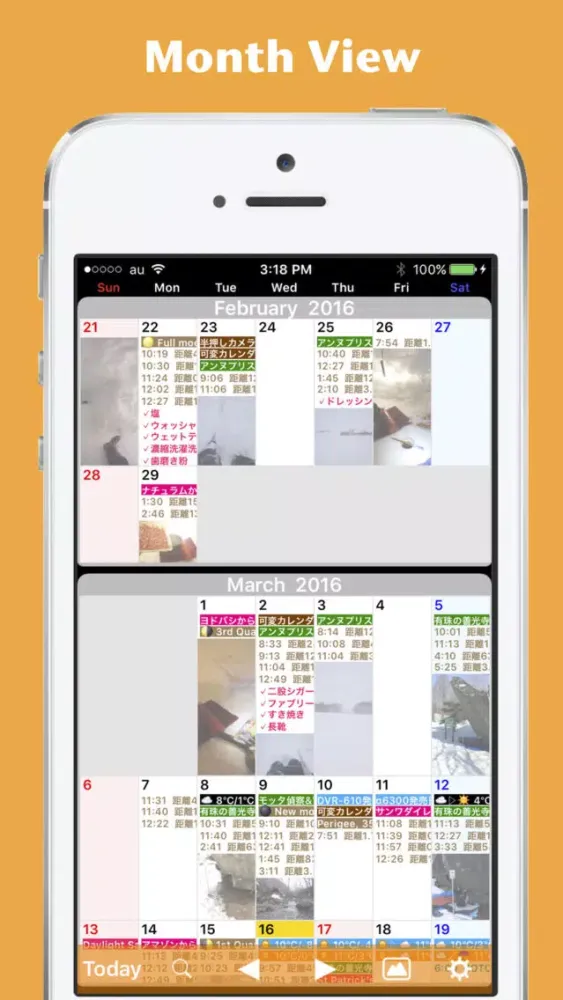 VariableCalendar3 Pro স্ক্রিনশট