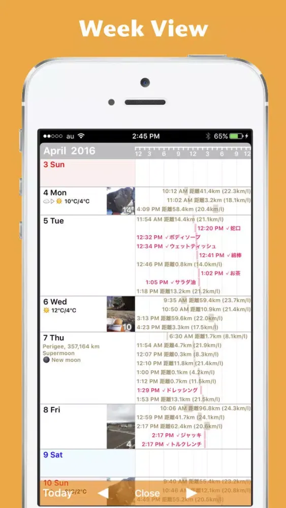 VariableCalendar3 Screenshots