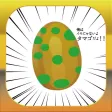 IMO to TAMAGO!!