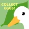 Collect Eggs!