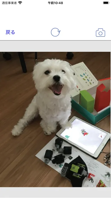 Simple Calendar for Your Dog应用截图