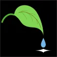 ココロGarden|気ままに植物を育て癒される言葉をもらう ココロGarden|気ままに植物を育て癒される言葉をもらう