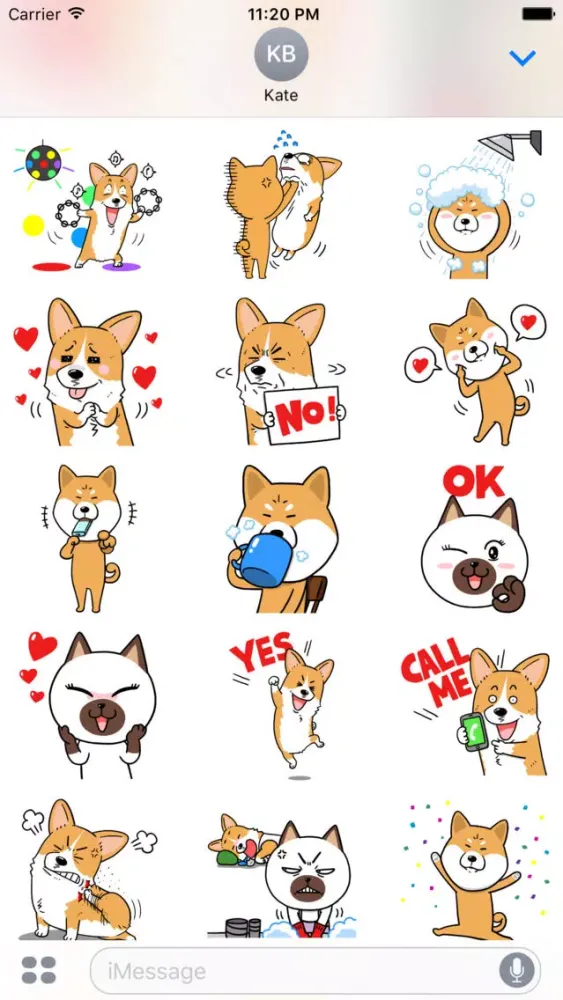 Capturas de pantalla de Welshcorgi Mr.LEE & Friends