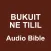 Kalenjin Audio Bible