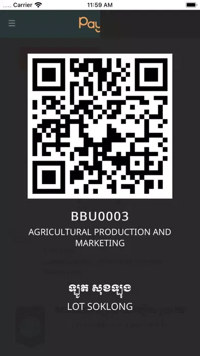BBU Card by PayOn Screenshots