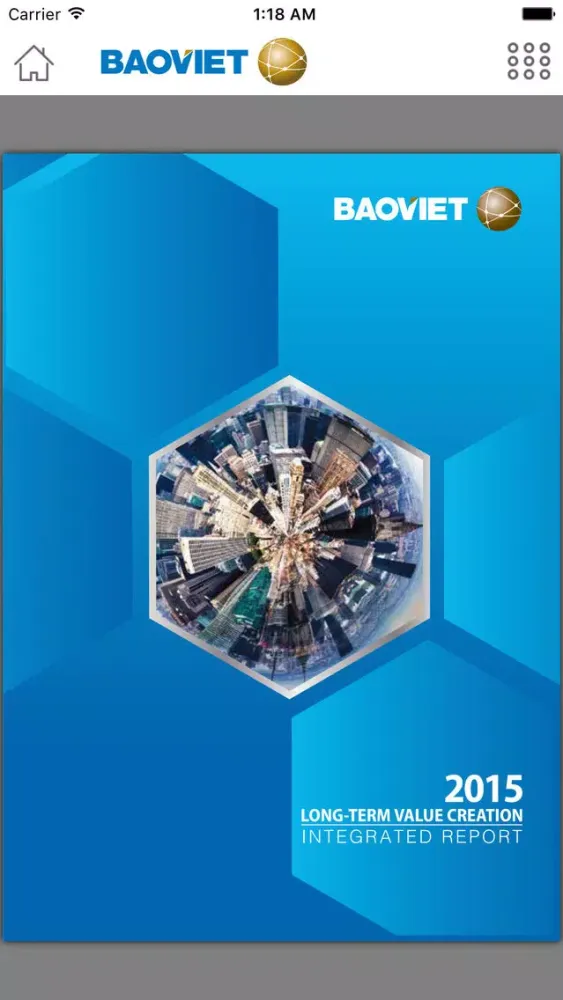 Baoviet IR 2015应用截图