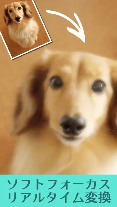 ภาพหน้าจอของ Lovely Camera