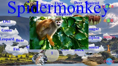 Скриншоты Animal Touch Sounds 2