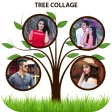 Tree Photo Frames & Collage