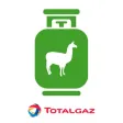 Llamagaz Online