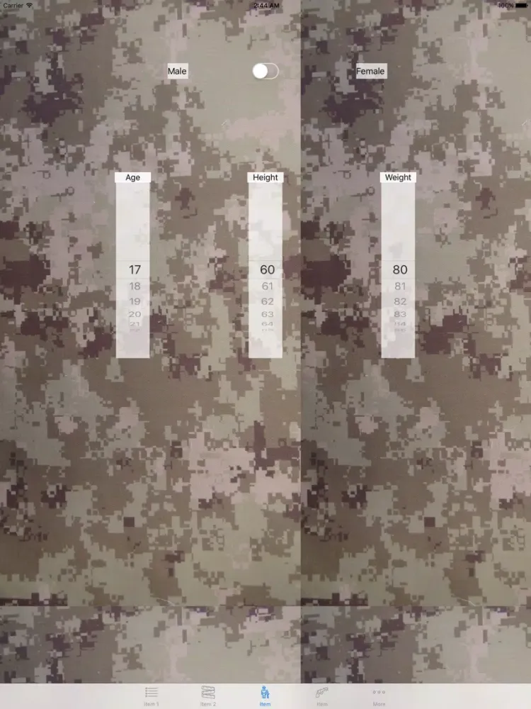 Скриншоты The APFT iPad 