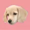 Cleo Daily Sticker Puppy Era