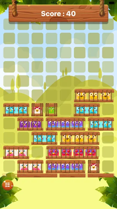Bird Slide Puzzle Ekran Görüntüleri