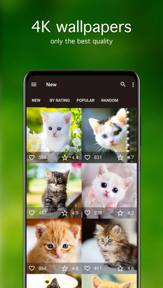 Kitten Wallpapers 4K سکرین شاٹس