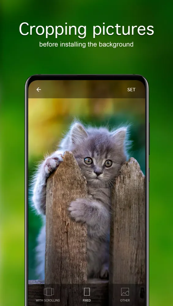 Kitten Wallpapers 4K سکرین شاٹس