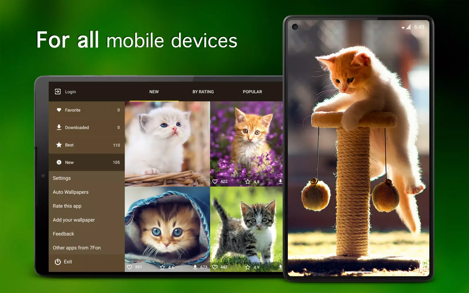Kitten Wallpapers 4K سکرین شاٹس
