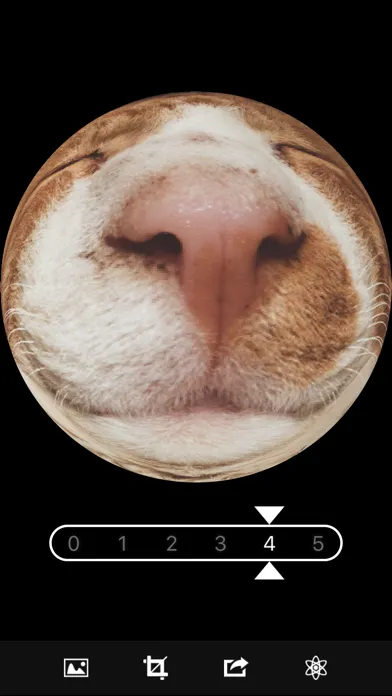 Fisheye Magick স্ক্রিনশট