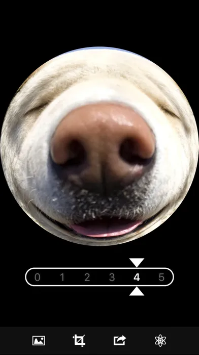 Fisheye Magick স্ক্রিনশট