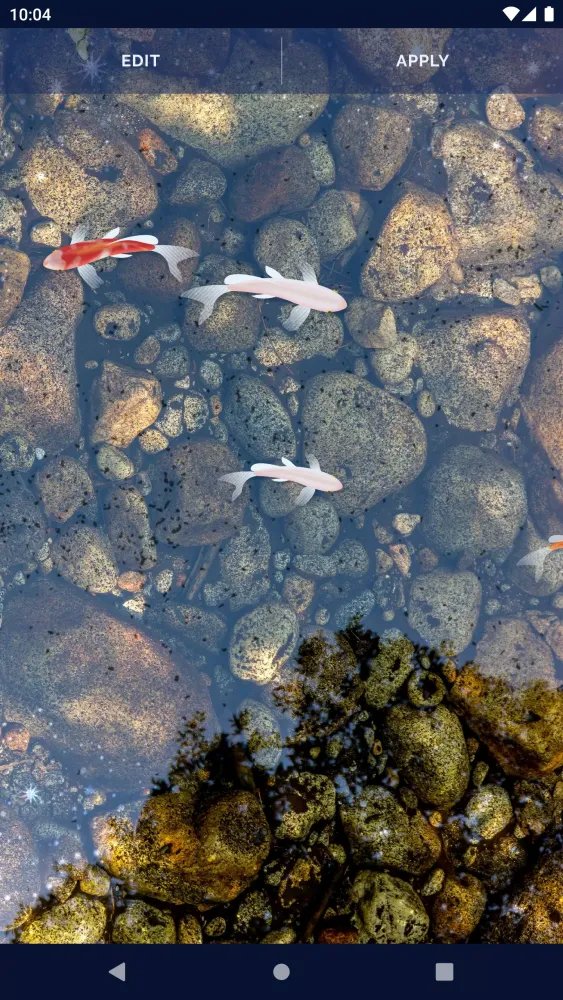 Tangkapan layar Fish 4K HD Koi Live Pond 3D