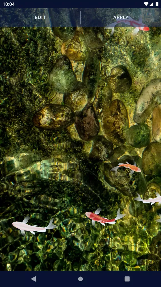 Tangkapan layar Fish 4K HD Koi Live Pond 3D
