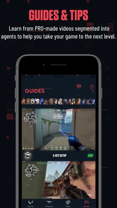 Mobile Guide for Riot Valorant應用截圖