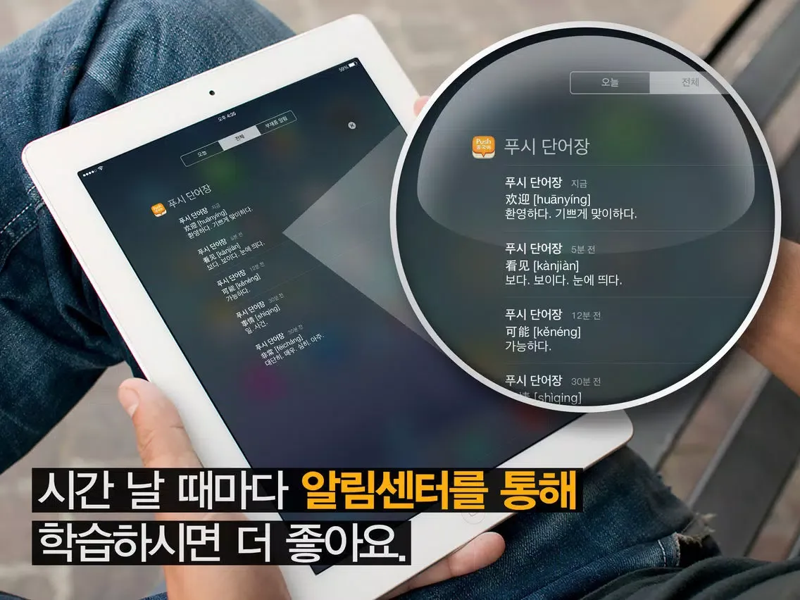 Capturas de tela do 푸시 중국어 단어장 - Free iPad 