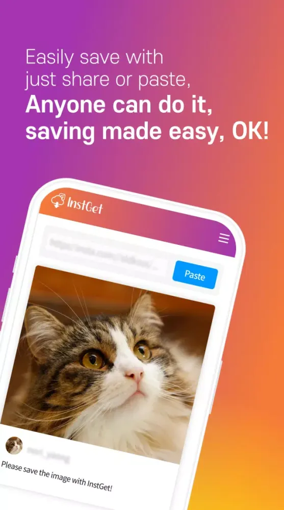Screenshot di InstGet - Easy and Fast