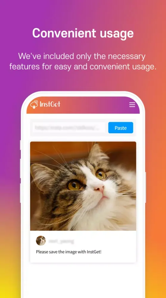 Screenshot di InstGet - Easy and Fast