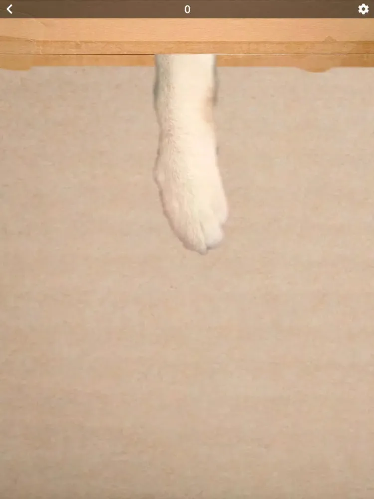 Capturas de pantalla de Cat toys - only for cat iPad 