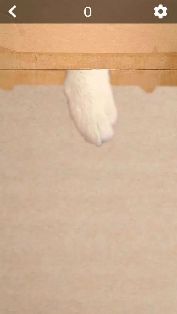 Capturas de pantalla de Cat toys - only for cat