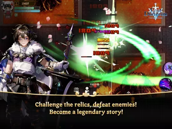 Lost Dungeon：The Relic Hunter iPad 应用截图