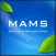 서울시 MAMS