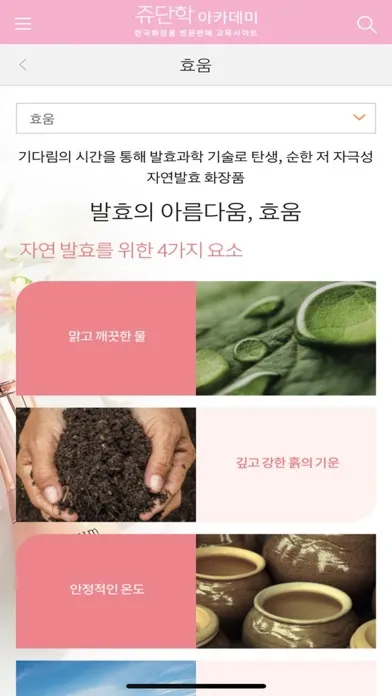 쥬단학아카데미 Ekran Görüntüleri
