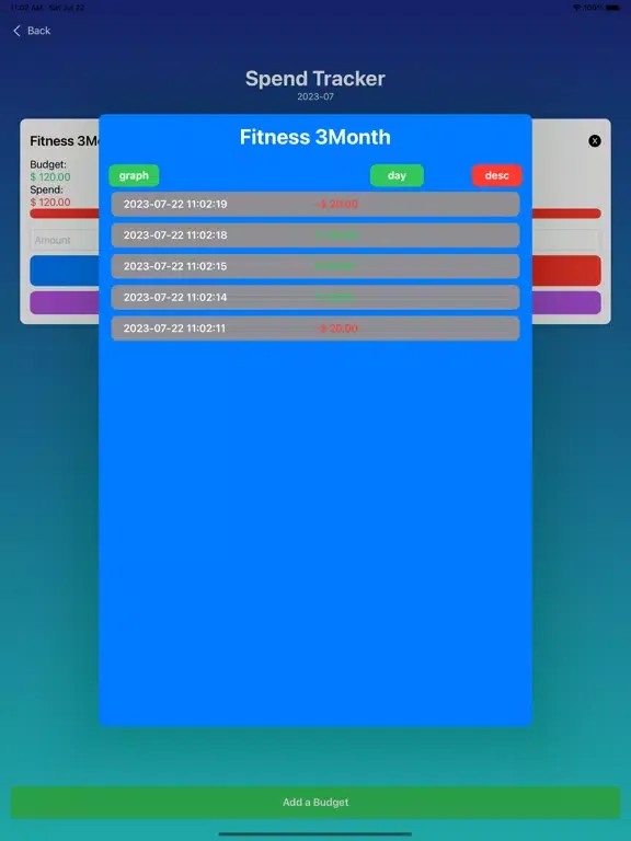 Capturas de pantalla de Budget that simple-budget book iPad 