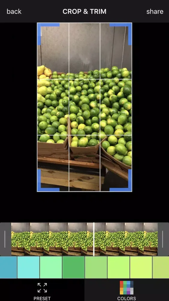 Screenshot di Crop Video Pro - Square Sized Videos Editor