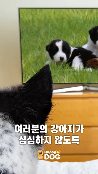 해피독(Happy Dog) - 우리아이 돌봄 서비스 স্ক্রিনশট