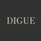 디그 DIGUE