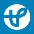 TF 인사이드 TF 인사이드
