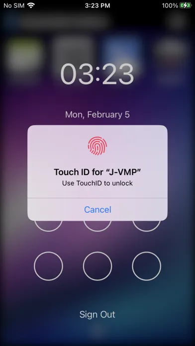 Ảnh chụp màn hình của J-VMP