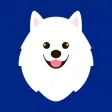 둥스터 – 실시간 반려견 산책 & 우리동네 소셜의 시작