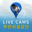 Bisco Live:부산시설공단 CCTV 모니터링