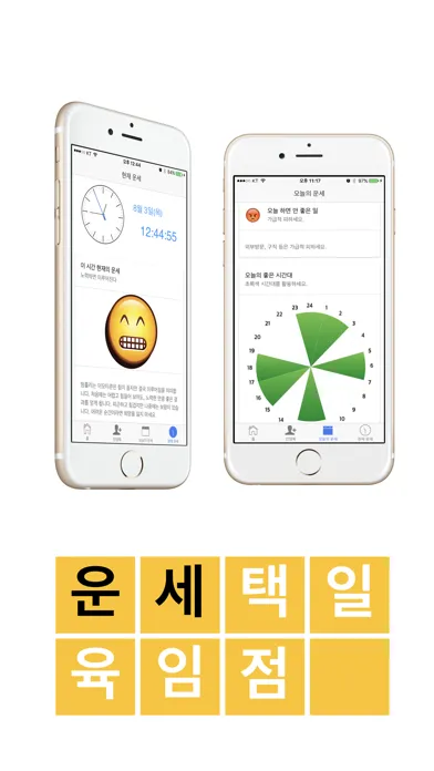 Capturas de pantalla de 현대사주 - 현대인을 위한 사주풀이 백과